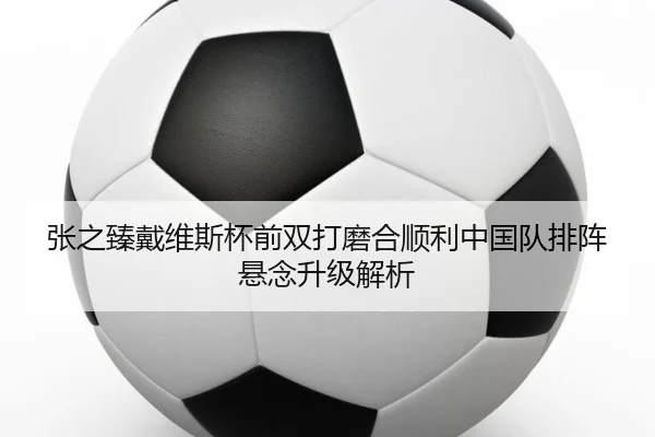 张之臻戴维斯杯前双打磨合顺利中国队排阵悬念升级解析